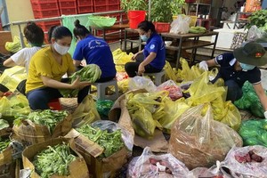 平盛郡第七坊人委會幹部、員工將熱心人士捐贈的蔬菜分類，然後發放給民眾。