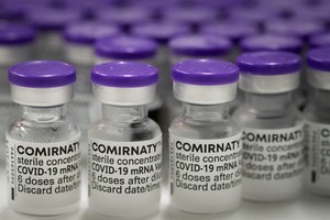 政府副總理黎明概日前代表政府總理簽署了有關增購1999萬8810劑輝瑞新冠疫苗經費的第1547號《決定》。（示意圖源：互聯網）