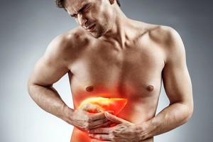 中年男愛吃高熱量食物養成脂肪肝