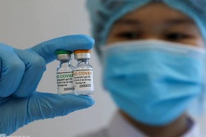 Nano Covax 新冠疫苗。（圖源：VnE）