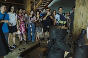 遊客參加德樂省的咖啡之旅。（圖源：范淮元英）