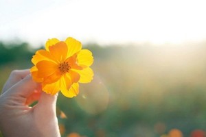 （示意圖源：互聯網） 