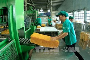 橡膠加工。（圖源：越通社）