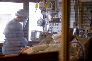 美國民眾服用未經批准的獸藥伊維菌素治療新冠數量激增24倍，由此導致的中毒及其他嚴重反應的病例數隨之翻了一倍。（示意圖源：互聯網）