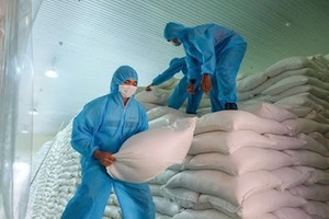 （示意圖源：志成） 