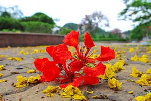 （示意圖源：互聯網） 