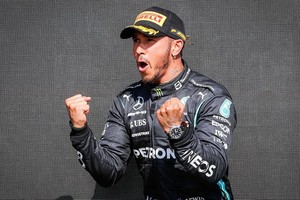 漢密爾頓。（圖源：互聯網）