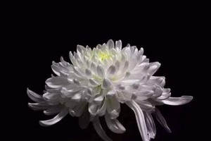 （示意圖源：互聯網） 