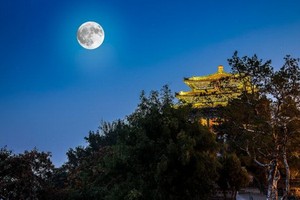 （示意圖源：互聯網） 