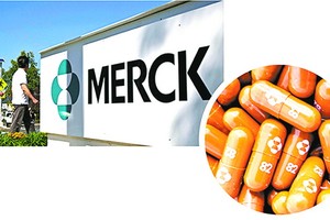 默克藥廠研發的口服藥“莫那比拉韋”（圓圖）。 （圖源：互聯網）