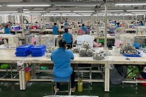 （示意圖源：M.P） 