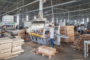 平陽省趙富祿家俱公司當前還需要招聘500 名非技術工人。（圖源：越通社）