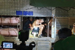 被查獲的人員。（圖源：廣寧報）