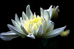 （示意圖源：互聯網） 