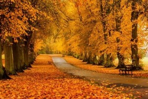 （示意圖源：互聯網） 