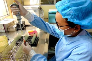 抗體檢測不能確定對新冠病毒的保護功效。