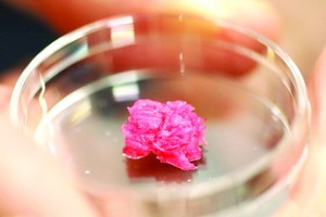 近日，日本的研究人員成功製造出了3D列印“和牛肉”，這種人造肉的垂直切片與真實的和牛肉非常相像。（圖源：互聯網）