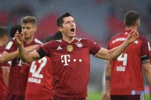 萊萬（圖源：互聯網）