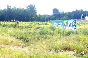 平陽省新淵市一個居民區項目，因遇上「粉紅簿」簽發手續羈絆而被荒置多年。