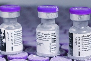 輝瑞新冠疫苗。（圖源：互聯網）