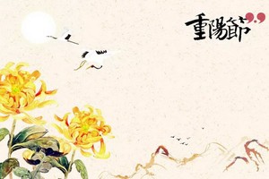 （示意圖源：互聯網） 