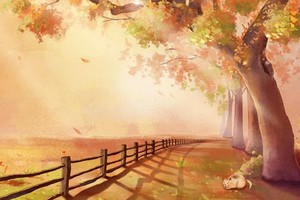 （示意圖源：互聯網） 