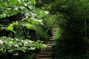 （示意圖源：互聯網） 