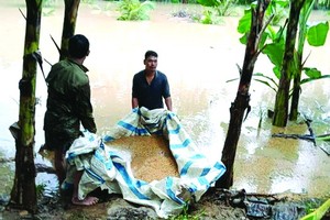 強降雨致上千公頃農地受淹