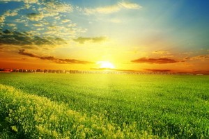 （示意圖源：互聯網） 