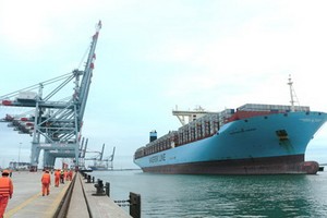 丐密-氏槐「超級港口」