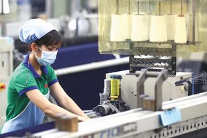 南部重點經濟區吸引大量外資公司設廠。（圖源: 明傑）