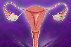 子宮最害怕這5件事