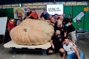 參賽者一同慶賀新紀錄誕生。（圖源：互聯網）