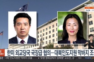 美國對朝特別副代表正‧朴(Jung H. Pak)與韓國外交部和平外交企劃團長林甲守當地時間1日在華盛頓進行了司局級磋商。（圖源：視頻截圖）