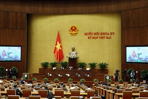 國會召開在線會議討論社保問題。