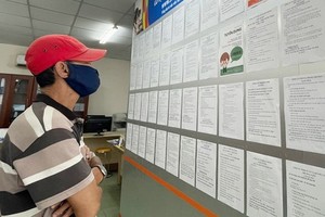 勞工在市青年就業勞務中心尋找就業機會。