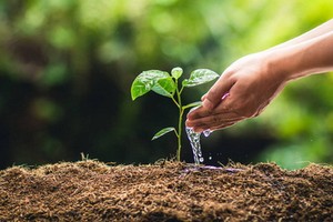 （示意圖源：互聯網） 