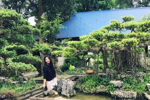 （示意圖源：互聯網） 