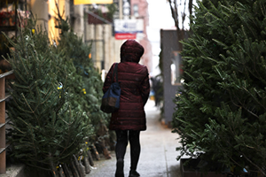 紐約街頭聖誕樹攤位。（圖源：Getty Images）