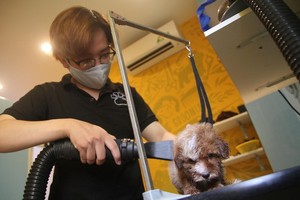 許多服務業的工作正在等待大學生。