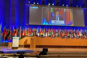 越南代表團團長梅潘勇在會上發言。（圖源：越通社）