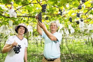 （示意圖源：互聯網） 