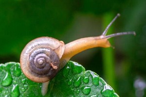 （示意圖源：互聯網） 