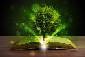 （示意圖源：互聯網） 