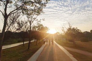 （示意圖源：互聯網） 