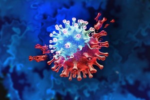 新冠肺炎新變種 B.1.1.529 出現。（示意圖源：Getty Images）