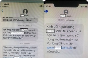 騙局冒充銀行名義發送短訊行騙。（圖源：志石）