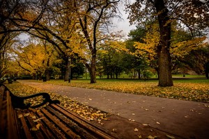 （示意圖源：互聯網） 