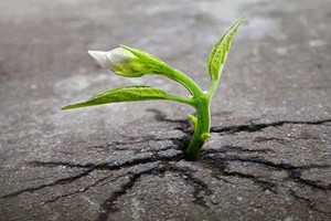 （示意圖源：互聯網） 