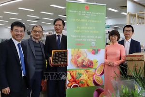 越南駐澳大利亞大使阮必成出席百香果品牌發起儀式。（圖源：工商部）